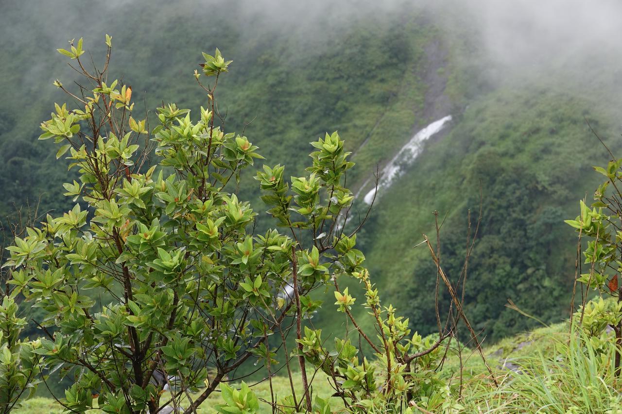 Orion County Hotel Vagamon Ngoại thất bức ảnh